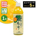 ★エントリーでポイント5倍★専門店のシークヮーサー 500ml (沖縄県産シークワーサー 果汁100%ジュース)