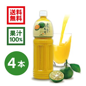 【2022年8月 月間優良ショップ受賞】専門店のシークヮーサー 1.5L×4本 ［1本あたり2,025円］(沖縄県産シークワーサー 無添加 果汁100%ジュース お徳用サイズ 業務用)シークワーサー ジュース　シークアーサー　果実　100%　青切りシークワーサー