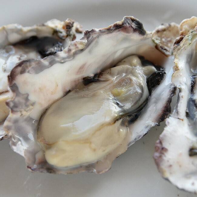 �����ⳤ����������դ�����3kg