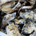 瀬戸内海産 冷凍殻付かき 3kg