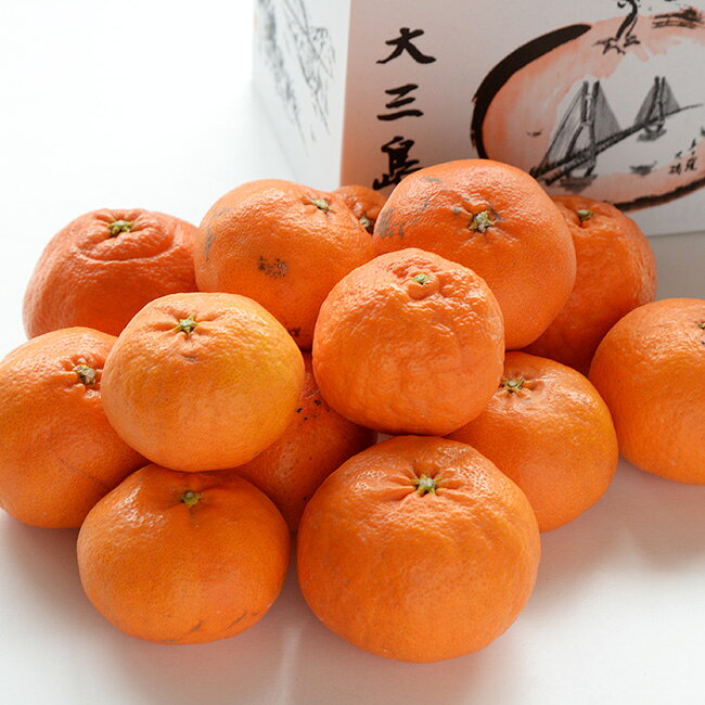 愛媛・大三島産　越智敬三さんのちょっとわけあり甘平3kg（10個から15個）...