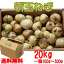 送料無料 早生 新玉ねぎ 20kg 普通サイズ 100〜300g 塩玉ねぎ 産地直送でお届けします