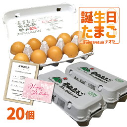 誕生日専用 プレゼントたまご 4,000円以下 送料無料 産地直送 地卵 高級卵 くさみのないたまご 免疫アップ 濃厚です