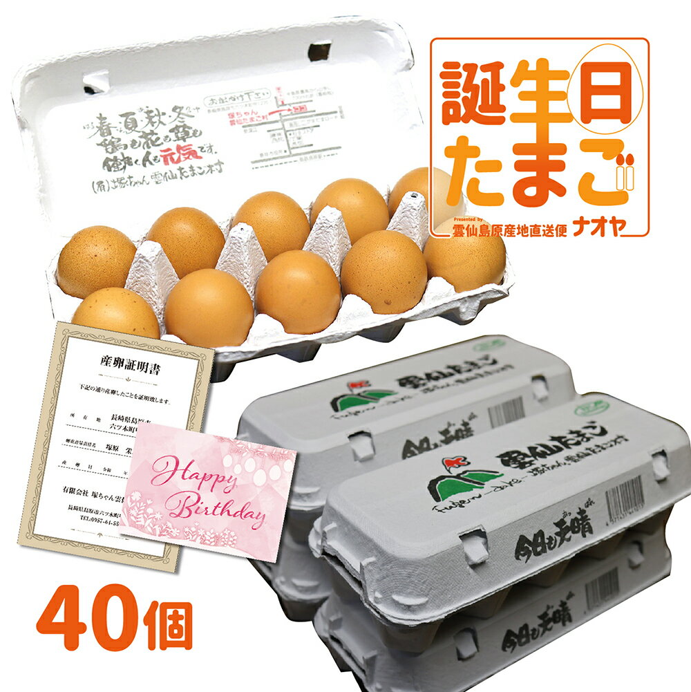 誕生日 専用 プレゼントたまご 5,000円以下 送料無料 産地直送 地卵 高級卵 くさみのないたまご 免疫アップ 濃厚です 1