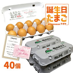 誕生日 専用 プレゼントたまご 5,000円以下 送料無料 産地直送 地卵 高級卵 くさみのないたまご 免疫アップ 濃厚です