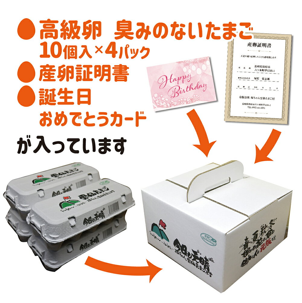 誕生日 専用 プレゼントたまご 5,000円以下 送料無料 産地直送 地卵 高級卵 くさみのないたまご 免疫アップ 濃厚です 3