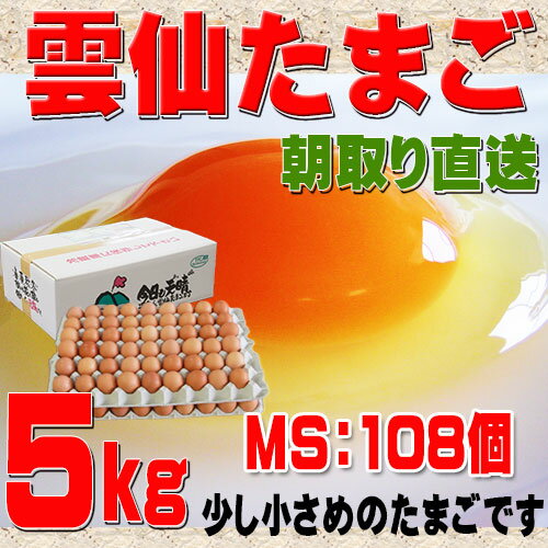 高級卵 くさみのないたまご 送料無料 雲仙たまご MS5kg 108個 ケーキ パンケーキ 専用 小さめのたまご 卵 卵かけご飯 新鮮 生卵 TKG もみじたまご 鶏卵 アレルギー 5.0kg〜9.9kg 巣ごもり 究極の卵 濃厚 朝採れ 採れたて 生みたて 長崎産 おいしい自然卵 ブランド卵 2