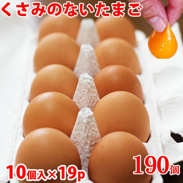 高級卵 くさみのないたまご たまご10個×19 巣ごもり究極の卵 免疫アップ 濃厚です 朝採れ 採れたて 生みたて 長崎産 おいしい自然卵 ブランド卵