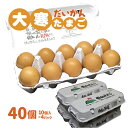 2025年度分予約受付中 高級卵 くさみのないたまご 大寒たまご 40個 大寒卵 送料無料 縁起卵  ...