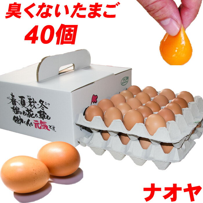 高級卵 くさみのないたまご 雲仙たまご 40個入り 送料無料 産地直送 地卵 高級卵 くさみのないた ...