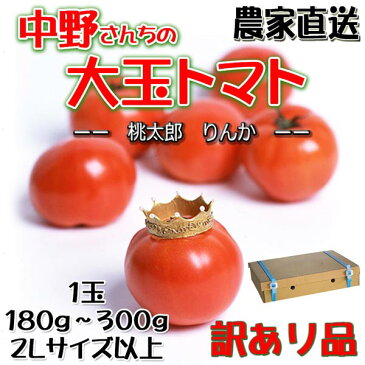 訳あり トマト 大玉 送料無料 約4kg 16個か20個入り 加温とまと 産地直送 農家直送 お取り寄せ