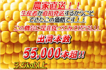 10月発送開始分 とうもろこし ゴールドラッシュ 10〜14本 4kg以上 一箱満量 バーベキュー BBQ 秋もろこし 九州 島原産 農家 産地 直送 朝もぎ でをお届けします プレゼント ギフト