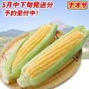 5月中下旬発送開始分 予約受付中 とうもろこし ゴールドラッ...