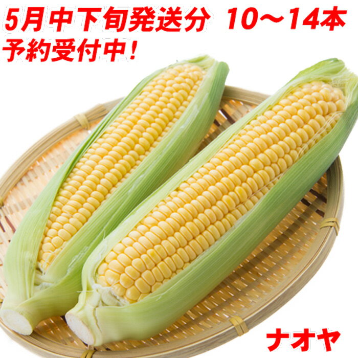 ヤングコーン缶3号缶　コーン　野菜類【常温食品】【業務用食材】