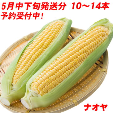 とうもろこし ゴールドラッシュ 10〜14本 4kg以上 一箱満量 バーベキュー BBQ 送料無料 九州 島原産 農家 産地 直送 朝もぎ プレゼント ギフト