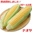 とうもろこし ゴールドラッシュ 10〜14本 4kg以上×3セット バーベキュー BBQ 九州 島原産 農家 産地 直送 朝もぎ でをお届けします プレゼント ギフト まとめ買い