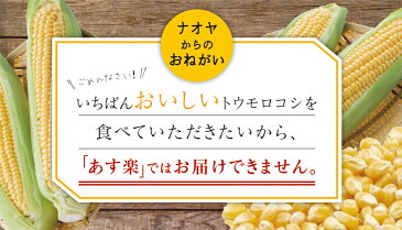 とうもろこし ゴールドラッシュ 10〜14本 4kg以上 一箱満量 バーベキュー BBQ 送料無料 九州 島原産 農家 産地 直送 朝もぎ プレゼント ギフト