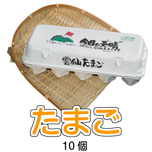 高級卵 くさみのないたまご 雲仙 もみじ 臭みのないたまご 10個 朝産みを直送 巣ごもり究極の卵 免疫ア..