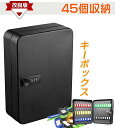 キーボックス キーケース 45キー 鍵収納ボックス 壁掛け 暗証番号タイプ 鍵収納 盗難防止 専用キー付き オシャレ オフィス 家庭 専用キーホルダー付き ダイヤル式 セキュリティ (ブラック)