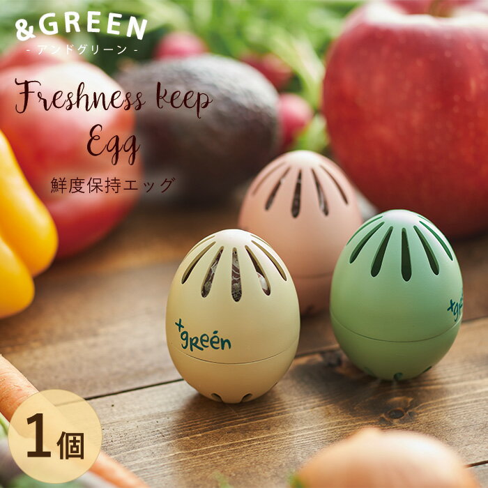 +green アンドグリーン 鮮度保持エッグ 1個入り 冷蔵庫の野菜や果物が長持ち グリーン アイボリー ピンク ドウシシャ