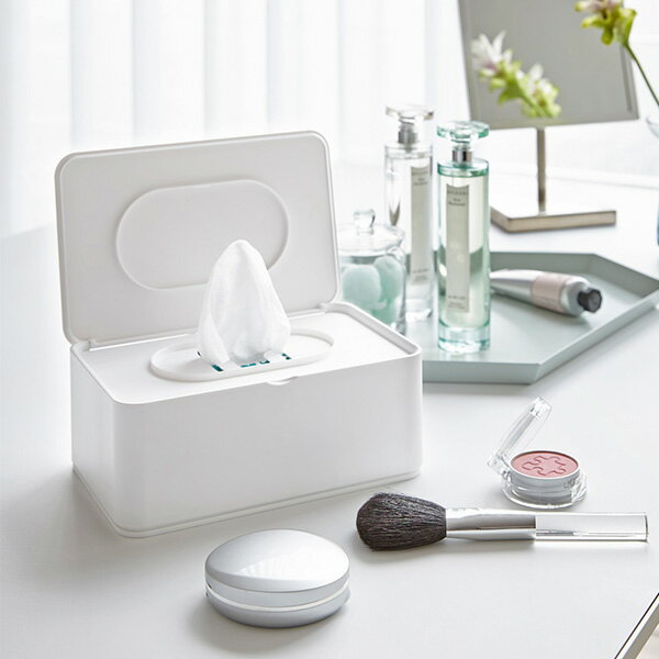 おしり拭きケース スマート ホワイト ブラウン 3255 3256 山崎実業 【YZ】【●】【リスト済】