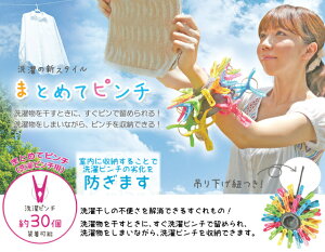 フォーラルまとめてピンチ洗濯ピンチ用グレー洗濯バサミまとめるつりさげ型【SIM】【楽ギフ_包装】