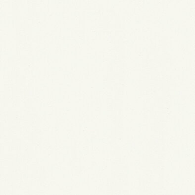 ポリエステル化粧合板 カラーフィットポリ RK-6006 3x6 表面エンボス（梨地）仕上