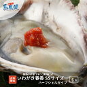 【隠岐島直送】【殻剥き不要】いわがき春香ハーフシェルタイプ SS6 個セット 生食 生食用 岩ガキ 岩がき 岩牡蛎 牡蠣 牡蛎 生牡蠣　生牡蛎 冷凍 カンカン焼き 殻付き 島根 ギフト 贈答用