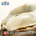 【隠岐島直送】【生食用殻付き】海士のいわがきMサイズ5個セット 約 1.2Kg 生食 岩ガキ 岩がき 岩牡蛎 牡蠣 牡蛎 生牡蠣 生牡蛎 冷凍 殻付き 島根 ギ...