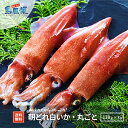 【隠岐島直送】【小サイズ3杯】白いか丸ごと凍結計400gいか イカ 剣先イカ 白いか シロイカ 刺身 お造り おつまみ 冷凍 山陰 島根 隠岐 朝どれ 産地直送...