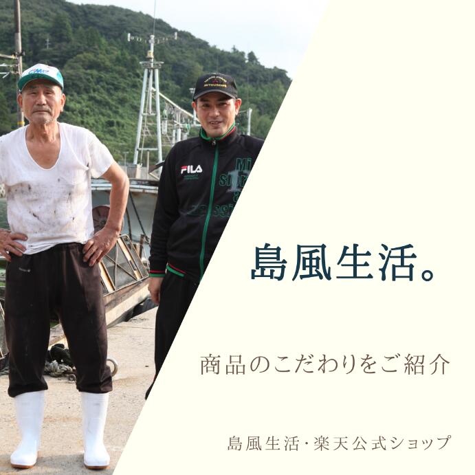 【遅れてごめんね父の日ギフト】【全商品1,000円OFFセール中!】【送料無料】春シマメ漬け3種セットいかイカスルメイカ烏賊シマメ肝醤油醤油珍味漬け島根隠岐新鮮お取り寄せ産地直送旬ギフト母の日父の日贈答用御礼御祝