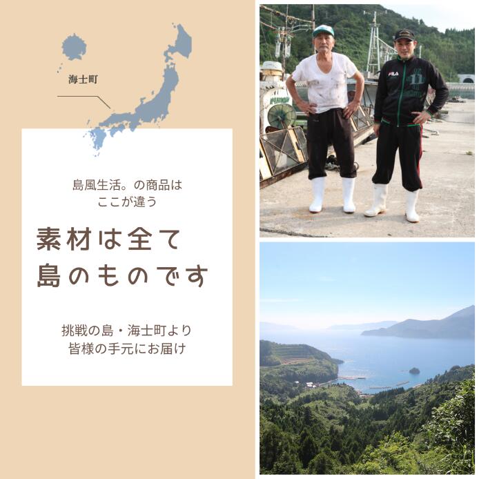 【遅れてごめんね父の日ギフト】【全商品1,000円OFFセール中!】【送料無料】春シマメ漬け3種セットいかイカスルメイカ烏賊シマメ肝醤油醤油珍味漬け島根隠岐新鮮お取り寄せ産地直送旬ギフト母の日父の日贈答用御礼御祝