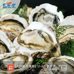 【隠岐島直送】【大容量 生食用】小ぶり岩がき 約3kg 20個前後 生食 岩ガキ 岩がき 岩牡蛎 牡蠣 牡蛎 生牡蠣　生牡蛎 冷凍 カンカン焼き 殻付き 島根 ギフト 贈答用 お歳暮 お年賀 お返し