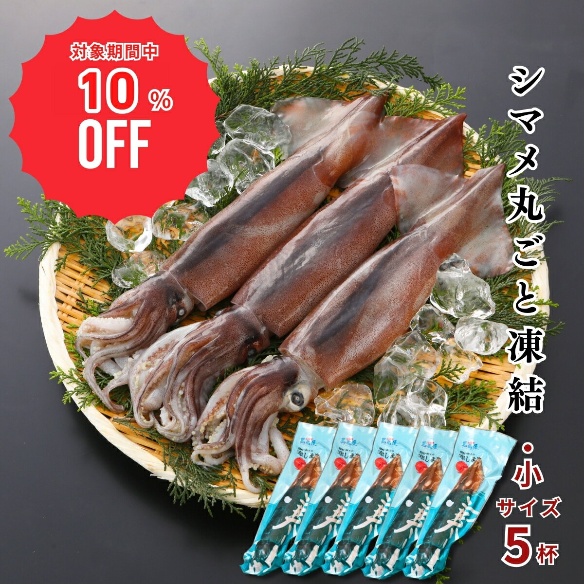 【10%OFF！12/4(木)20時〜SALE特価でご案内♪】【小サイズ5杯計800g】【胴だけで20cm前後】シマメ丸ごと..