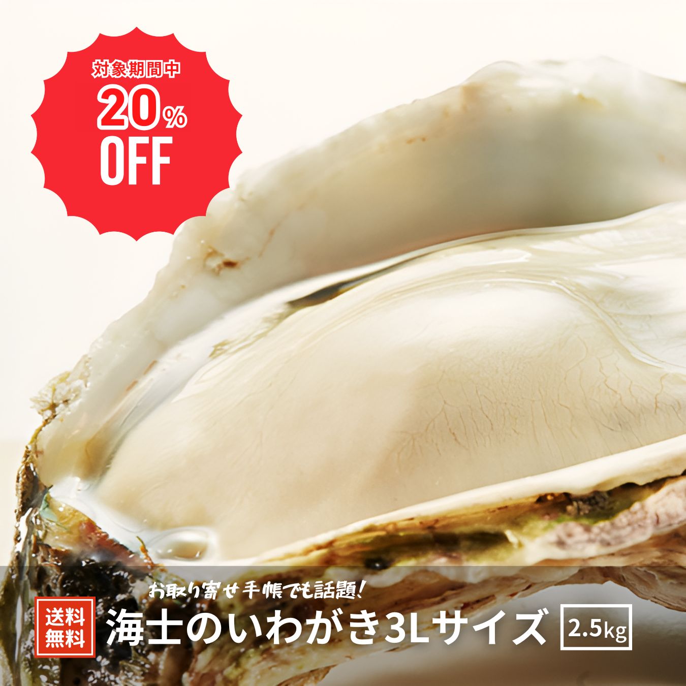 【20%OFF！10(月)01：59まで】【殻付き生食用】【特大】海士のいわがき 3L 5 個セット 約 2.5 kg 生食 岩ガキ 岩がき 岩牡蛎 牡蠣 牡蛎 生牡蠣　生牡蛎 冷凍 カンカン焼き 大きい ワイン お酒 産地直送 旬 ギフト島風生活 海士町 CAS