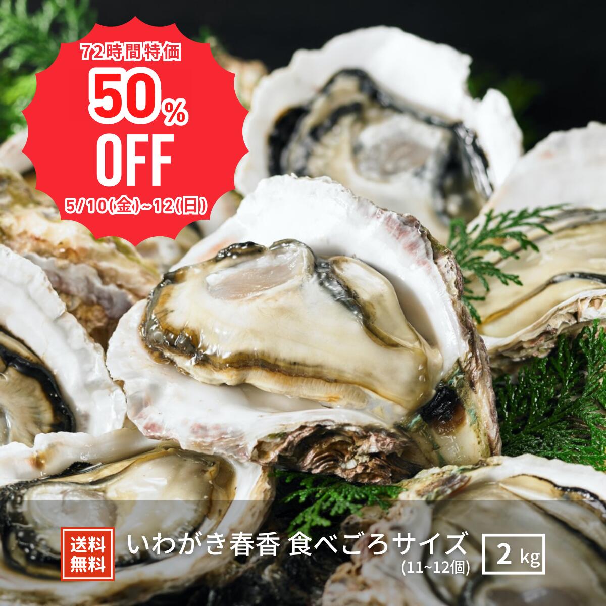 【半額SALE予告】【5/10(金)~12(日)72H限定の半額SALE】いわがき春香 食べごろサイ...