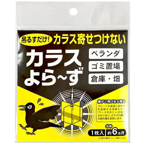 ヒトデ忌避剤 みんな探してる人気モノ ヒトデ忌避剤 レディースファッション ヒトデ忌避剤 みんな探してる人気モノ ヒトデ忌避剤 レディースファッション