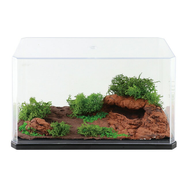 アーテック はじめてのジオラマベースキット キャニオン ディスプレイ付き 粘土 造形 初心者 058260 送料無料