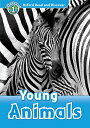 Oxford Read and Discover 1 (300 Headwords) Young Animals MP3 Pack / オックスフォード大学出版...