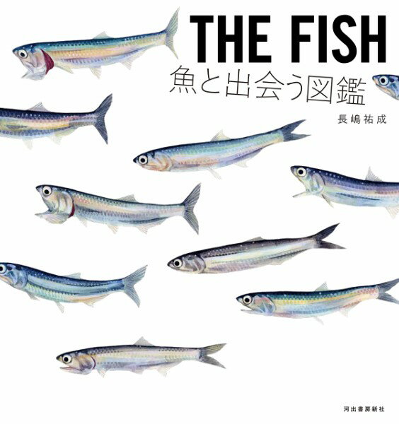 THE FISH 魚と出会う図鑑 ／ 河出書房新社