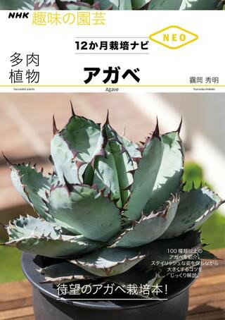 多肉植物 アガベ ／ NHK出版
