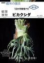 観葉植物 ビカクシダ / NHK出版
