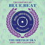 [] HISTORY OF BLUEBEAT BB51 / VARIOUS  NOT NOW