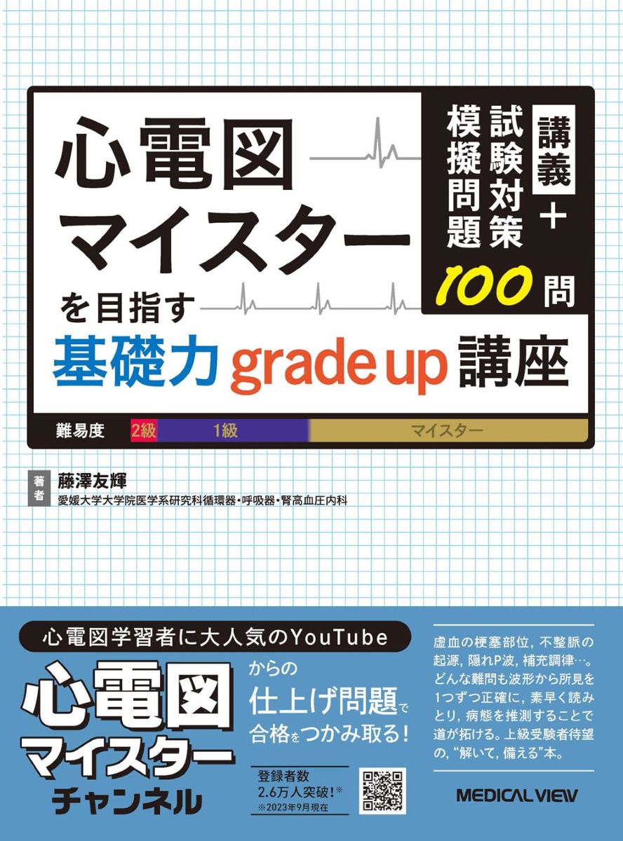 講義+試験対策模擬問題100問 心電図マイスターを目指す基礎力GRADE UP講座 ／ メジカルビュー社のサムネイル