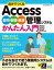 ʬǤĤACCESS 䡦ܵҡĢɼƥ   ޥʥ