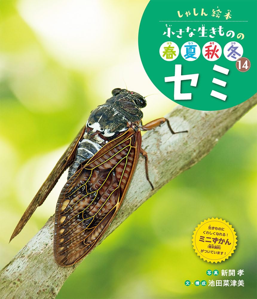 セミ ／ ポプラ社