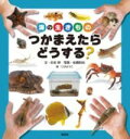海の生きもの つかまえたら どうする? / 偕成社