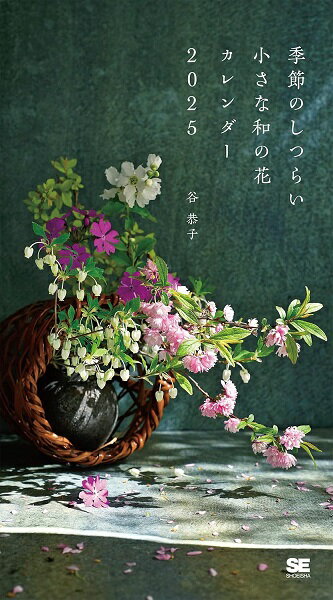 ΤĤ餤¤β  2025  Ʊ˼
