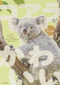 コアラがかわいい 生態から癒やされる写真まで魅力のすべて ／ 角川書店