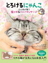 とろけるにゃんこ 心と体が整う猫ツボ&リンパマッサージ / 永岡書店